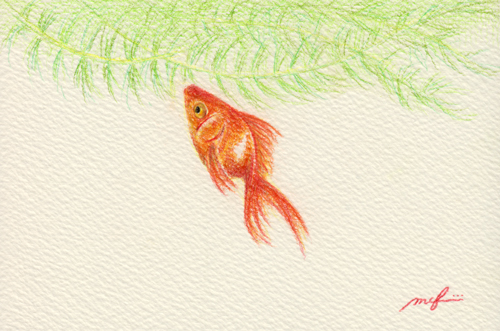 金魚の旅立ち イラストレーター 藤井美智子 オフィシャルサイト 色々絵画館