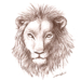 雄ライオン